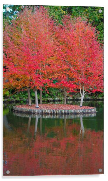 Autumn Reflections  Acrylic by Philip Enticknap
