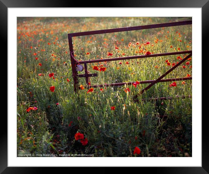 Gate in evening sun on a glowing poppy field Framed Mounted Print by Chris Rose