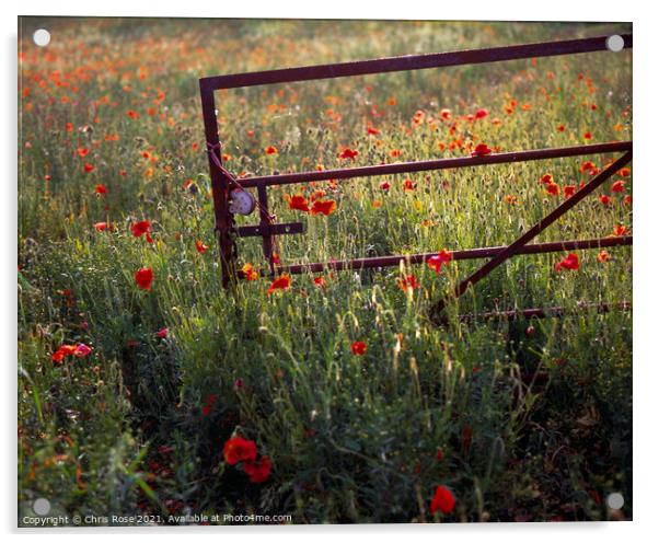 Gate in evening sun on a glowing poppy field Acrylic by Chris Rose