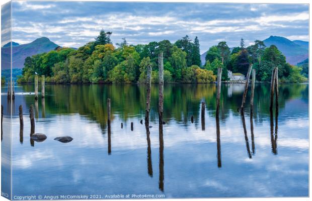 Derwent Isle and old jetty piles  Canvas Print by Angus McComiskey