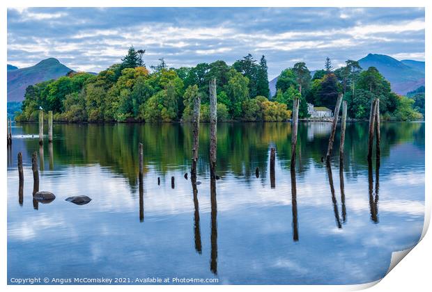 Derwent Isle and old jetty piles  Print by Angus McComiskey