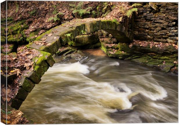Flowing under the arch Canvas Print by David McCulloch