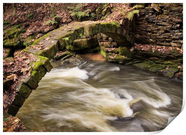Flowing under the arch Print by David McCulloch