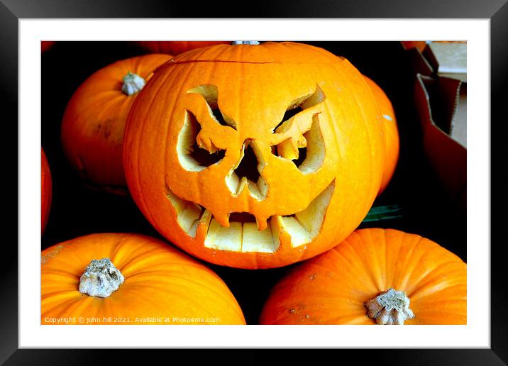 Halloween Pumpkins. Framed Mounted Print by john hill