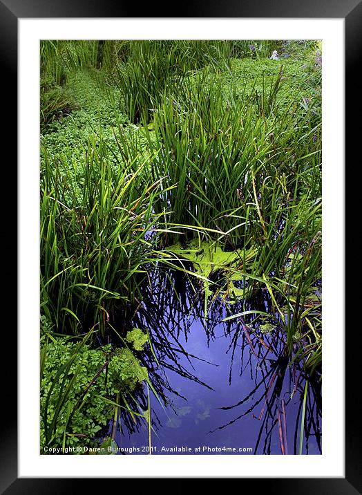 Overgrown Water Way Framed Mounted Print by Darren Burroughs