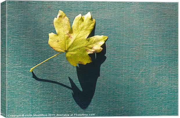 Fallen Leaf Canvas Print by Keith Mountford