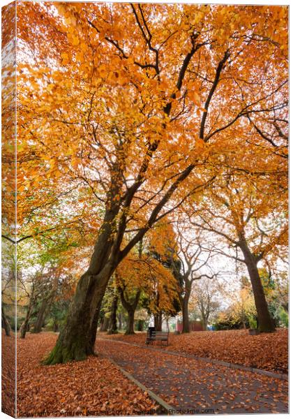 Autumn colours at Merthyr Tydfil, South Wales, UK Canvas Print by Andrew Bartlett