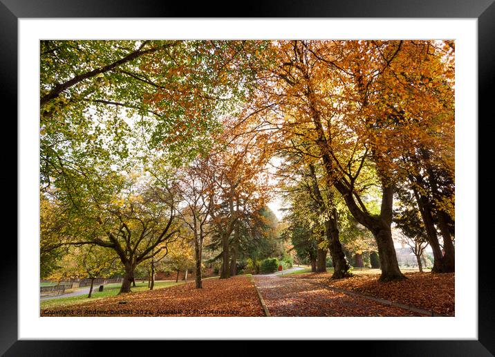 Autumn colours at Merthyr Tydfil, South Wales, UK Framed Mounted Print by Andrew Bartlett