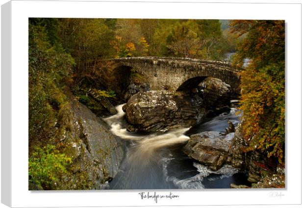 The bridge in  autumn Canvas Print by JC studios LRPS ARPS