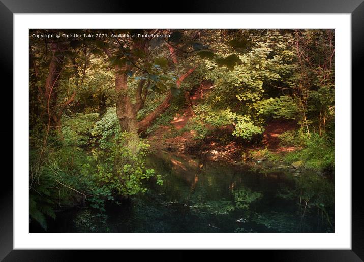 Natures Dream Framed Mounted Print by Christine Lake