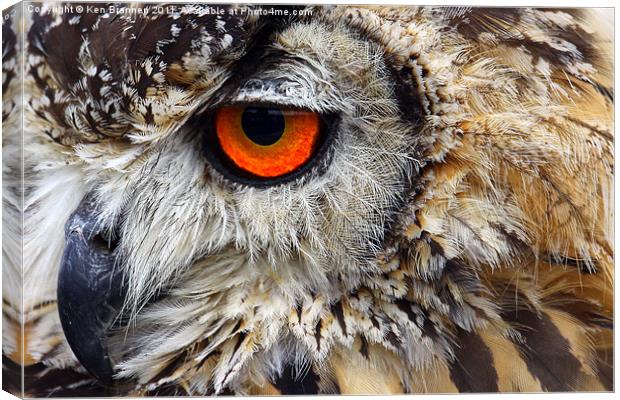 European eagle owl Canvas Print by Oxon Images