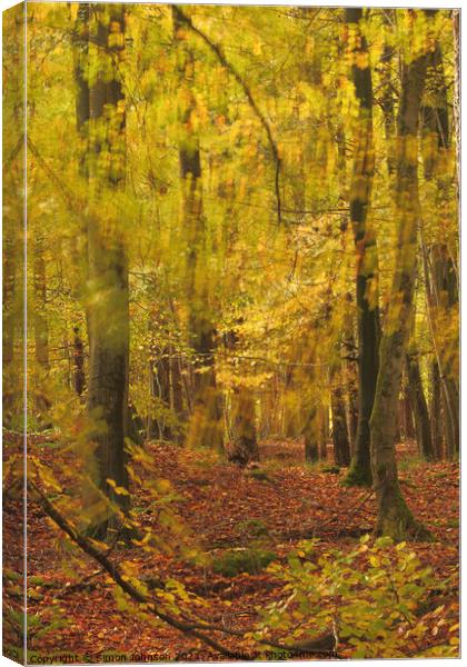 Autumn breeze Canvas Print by Simon Johnson