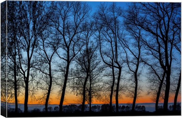 Silhouetted Trees at Sunset Canvas Print by Arterra 