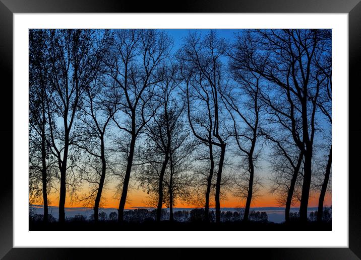 Silhouetted Trees at Sunset Framed Mounted Print by Arterra 