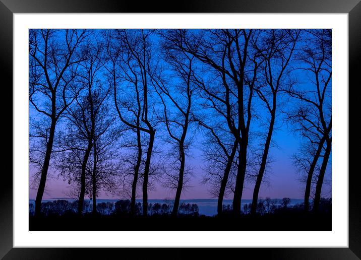 Row of Silhouetted Trees Framed Mounted Print by Arterra 