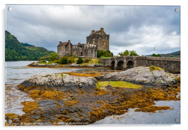 Eilean Donan Castle Acrylic by Beata Aldridge