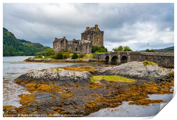 Eilean Donan Castle Print by Beata Aldridge