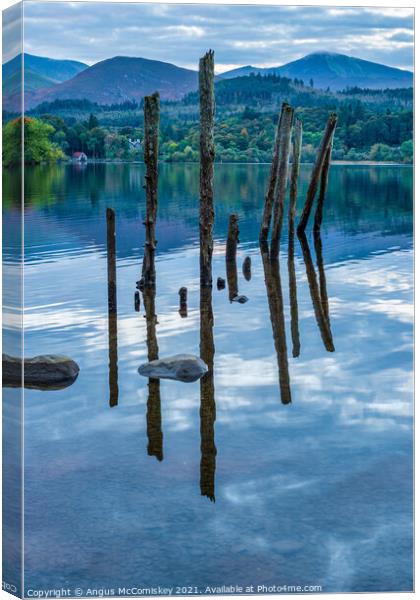 Old jetty piles on Derwentwater Canvas Print by Angus McComiskey