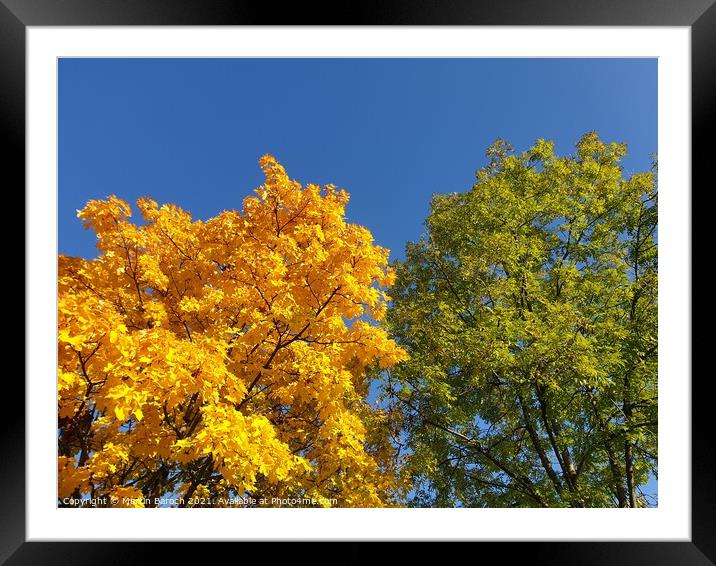 Autumnal Colour Magic Framed Mounted Print by Martin Baroch