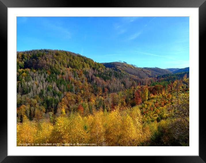 Harz mountain forest Framed Mounted Print by Les Schofield