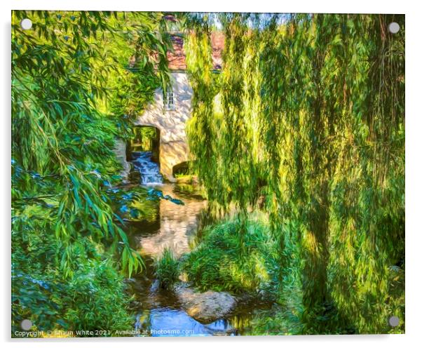 Water Mill through willow trees Acrylic by Shaun White
