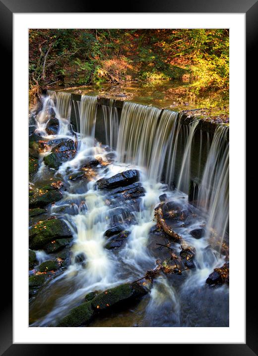 Autumn above the weir Framed Mounted Print by David McCulloch