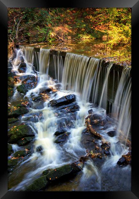 Autumn above the weir Framed Print by David McCulloch