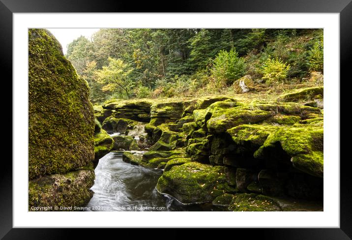 Moss covered Rocks at The Strid  Framed Mounted Print by David Swayne