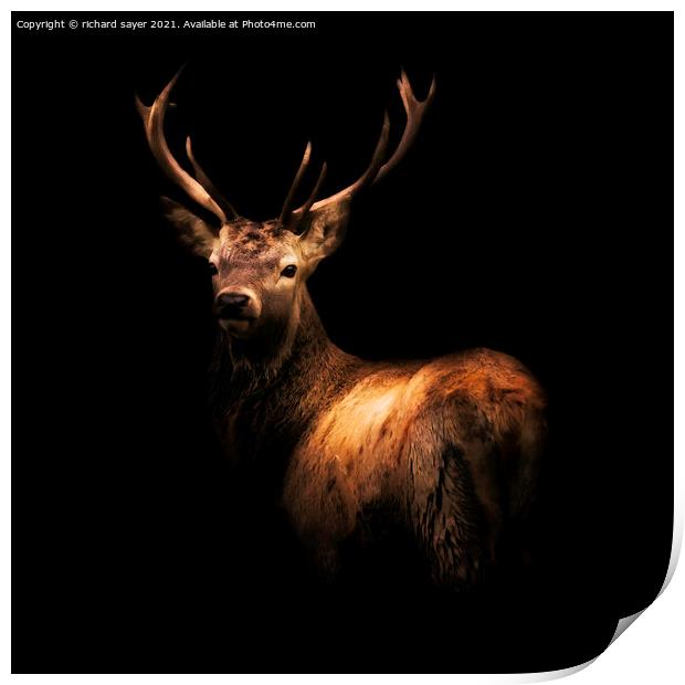 Majestic Red Stag in the Wild Print by richard sayer