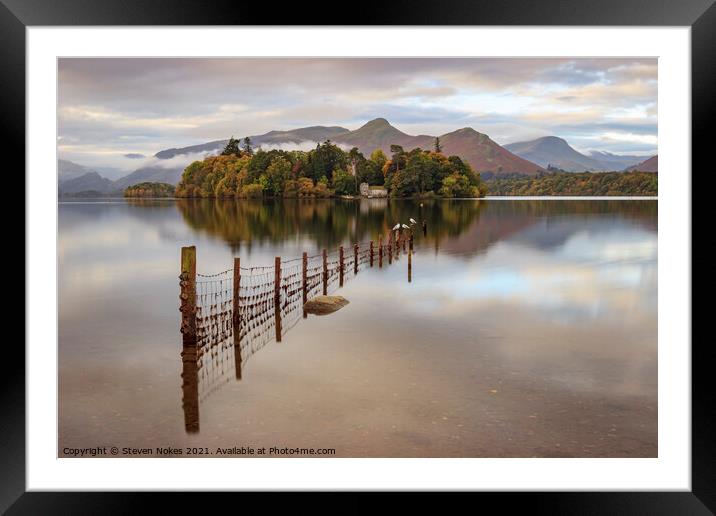 Seagulls at Derwent Water Framed Mounted Print by Steven Nokes