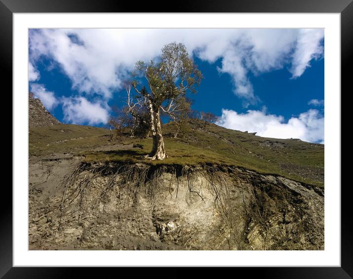 A tree with a mountain in the background Framed Mounted Print by NITYANANDA MUKHERJEE