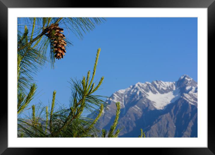 A tree with a mountain in the background Framed Mounted Print by NITYANANDA MUKHERJEE