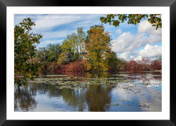 Trees are turning Framed Mounted Print by Kevin White
