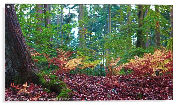 Ferns Sprouting in the Woods Acrylic by GJS Photography Artist