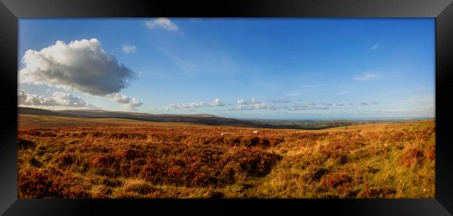 Dartmoor,  view towards Minehead, North Bovey Framed Print by Maggie McCall