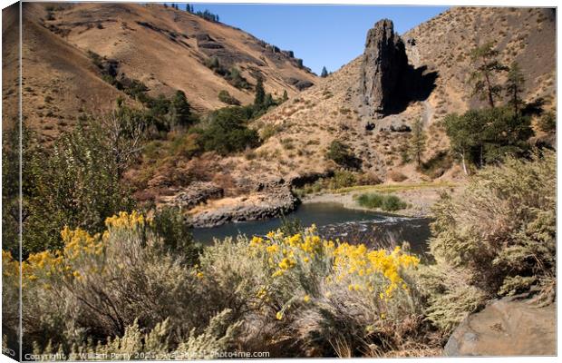 Naches River and Desert with Yellow Flowers Yakima Washington Canvas Print by William Perry