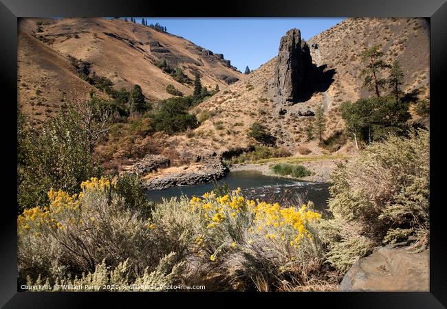 Naches River and Desert with Yellow Flowers Yakima Washington Framed Print by William Perry