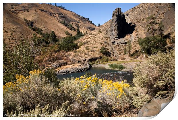 Naches River and Desert with Yellow Flowers Yakima Washington Print by William Perry