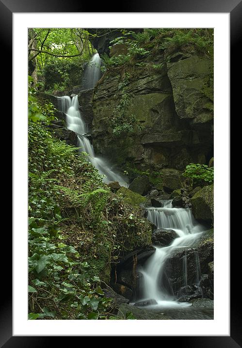 Lumsdale Valley Falls Framed Mounted Print by Wayne Molyneux