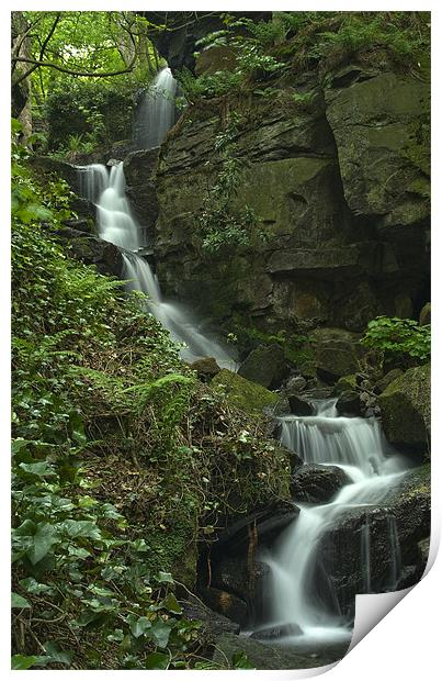 Lumsdale Valley Falls Print by Wayne Molyneux