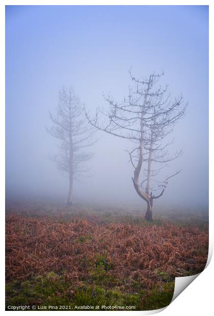 Trees in the fog in Lousa mountain, Portugal Print by Luis Pina