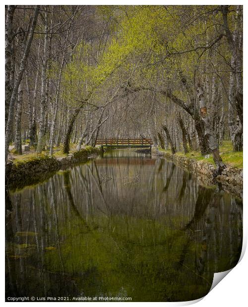 Autumn yellow trees reflection on a river in Covao d ametade in Serra da Estrela, Portugal Print by Luis Pina