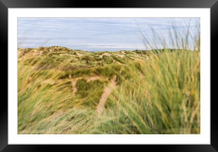 Trails in the sand dunes Framed Mounted Print by Jason Wells