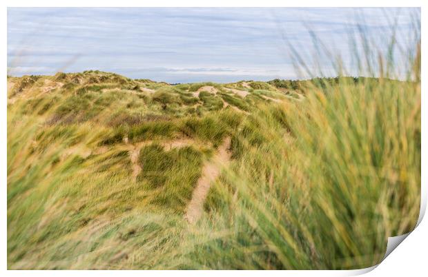 Trails in the sand dunes Print by Jason Wells