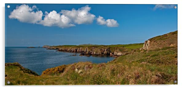 Cliff top walk, Pembrokeshire Acrylic by Joyce Storey