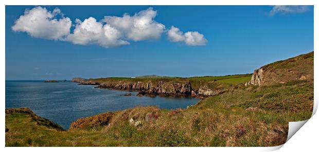 Cliff top walk, Pembrokeshire Print by Joyce Storey