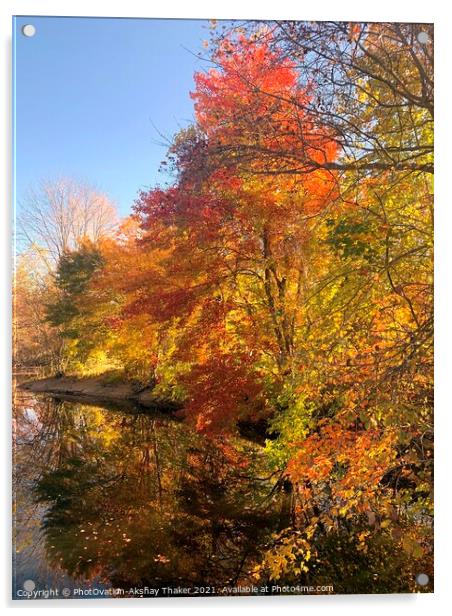 Poster perfect Colorful Autumn or fall landscape Acrylic by PhotOvation-Akshay Thaker