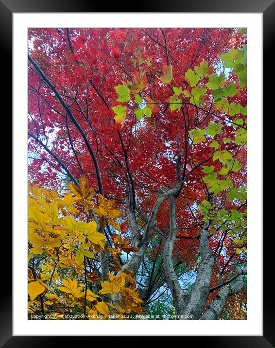 Three layers. Natural colorful transition  Framed Mounted Print by PhotOvation-Akshay Thaker