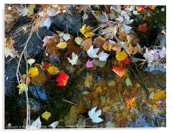 Tranquil autumn colorful leaves background Acrylic by PhotOvation-Akshay Thaker