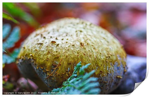 Common Earth Ball  Print by GJS Photography Artist